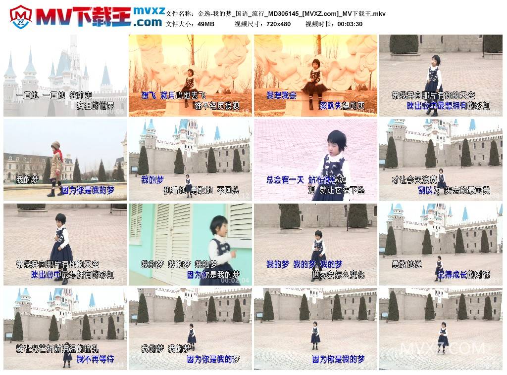 金逸-我的梦_国语_流行_MD305145